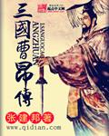三国曹昂传封面