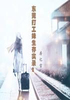 东莞打工妹生存实录2：我是一朵飘零的花封面