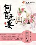 何宦无妻封面