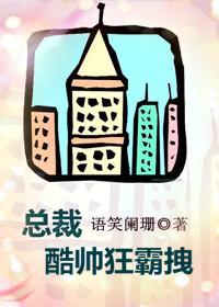 总裁酷帅狂霸拽封面