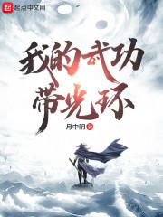 我的武功带光环封面