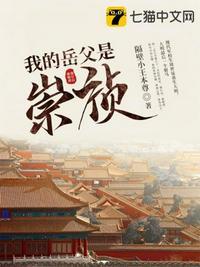护国驸马爷封面