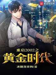 重启2002之黄金时代封面