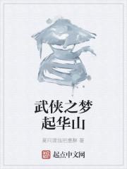 武侠之梦起华山封面