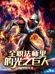 全职法师里的光之巨人封面