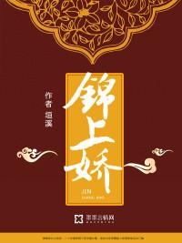 锦上娇封面