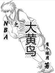 NBA之大黄鸟封面