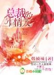 总裁的小情人封面