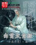 白首太玄经封面