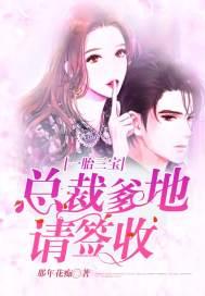 一胎三宝：总裁爹地请签收封面