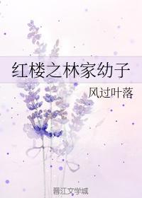 红楼之林家幼子封面