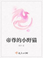 归来勤劳的小野猫御书屋封面
