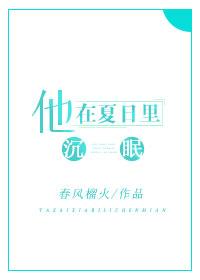 他在夏日里沉眠封面