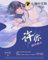 许你盛世烟火封面