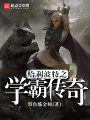 哈利波特之学霸传奇封面