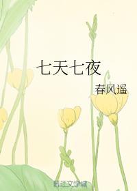 七天七夜封面