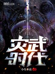 全球灾武封面