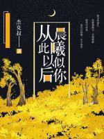 从此以后，晨曦似你封面