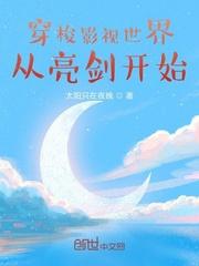 穿梭影视世界从亮剑开始封面