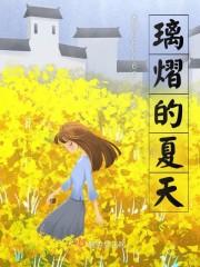 璃熠的夏天封面
