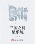 三国之将星系统封面