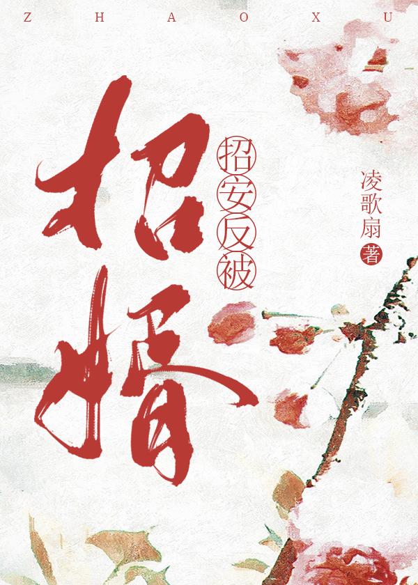 招安反被招婿封面