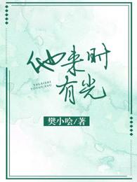 他来时有光封面