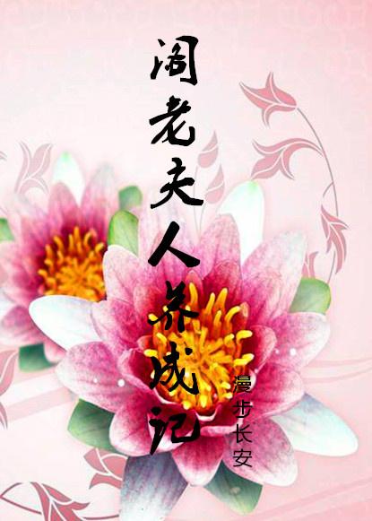 阁老夫人养成记封面