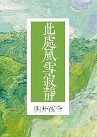 此处风雪寂静封面