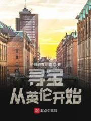 寻宝从英伦开始封面