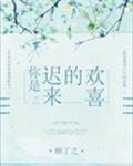 你是迟来的欢喜封面