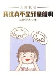 大国机长：我这真不是歼星舰啊封面