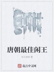 唐朝最佳闲王封面
