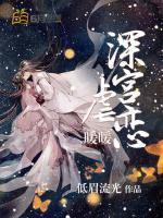 深宫虐恋：暖暖封面