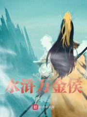 水浒万金侯封面