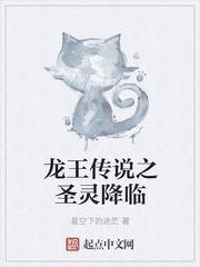 龙王传说之圣灵降临封面