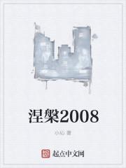 涅槃游戏封面