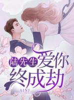 陆先生，爱你终成劫封面