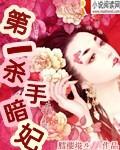 第一杀手暗妃封面