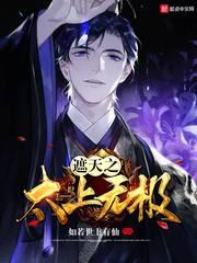 遮天之太上无极封面