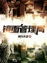 镜面管理局封面