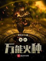 我的万能火种封面