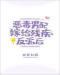 恶毒男配嫁给残疾反派后封面