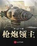 枪炮领主封面