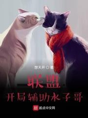 联盟：开局辅助水子哥封面
