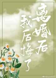 离婚后我后悔了封面