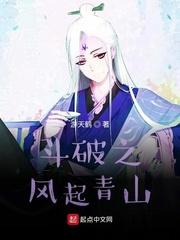 斗破苍穹位面 青山镇封面