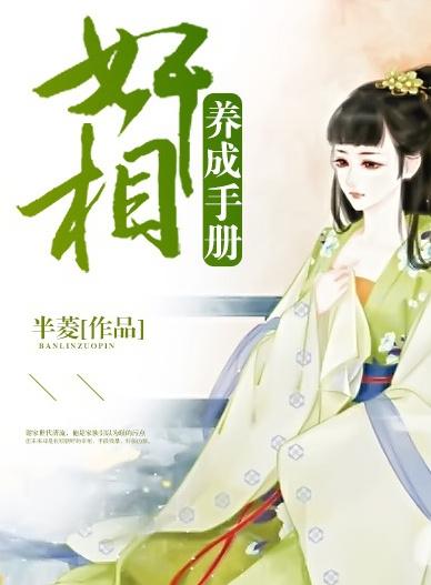 奸相养成手册封面