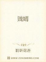 贱婿封面