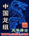 中国龙组封面